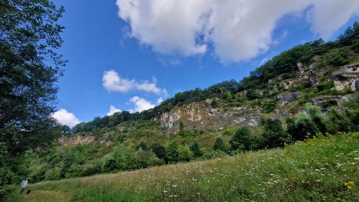 Loisirs Balade guidée la réserve naturelle : Quand nature reprend droits