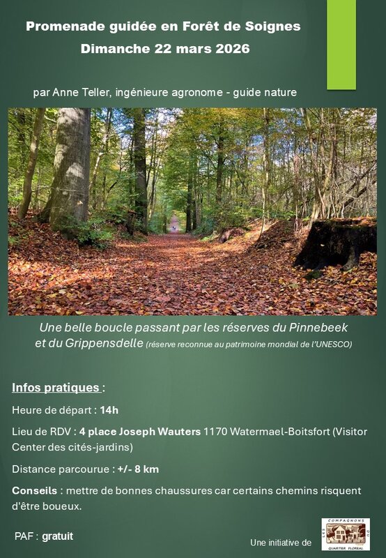 Loisirs Promenade guidée Forêt Soignes