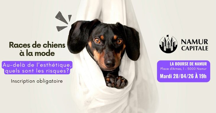Conférences Conférence Gratuite | Races chiens la mode : quels sont risques ?