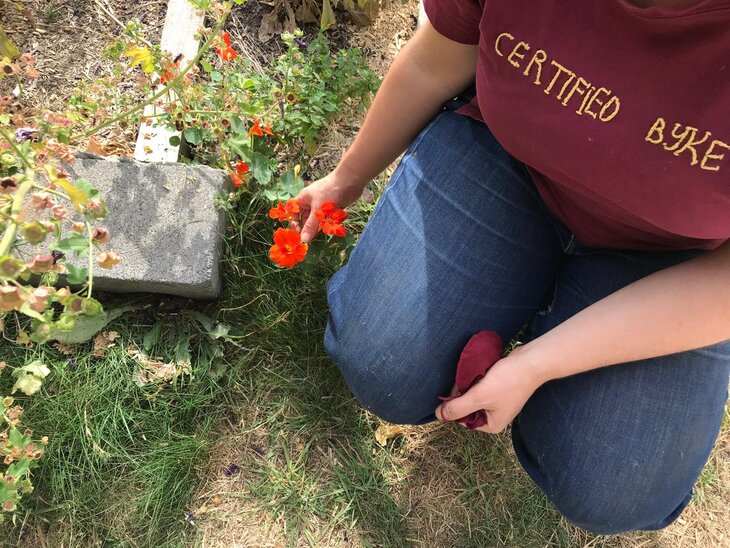 Stages,cours Jardinage, nichoirs, phytothérapie 