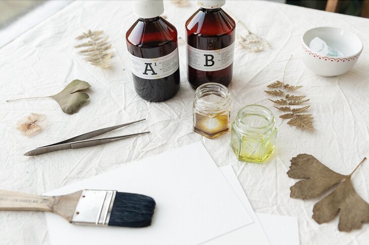 Stages,cours Impression d un herbier cyanotype