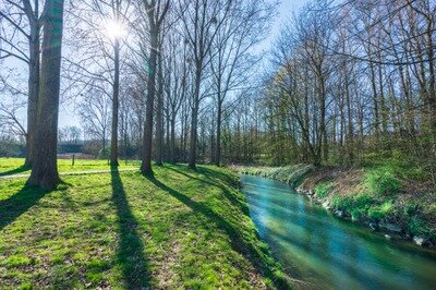 Conférences Soirée dédiée la régénération cycle l’eau : projection + échange - débat