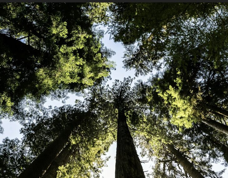 Spectacles Ce pousse nous