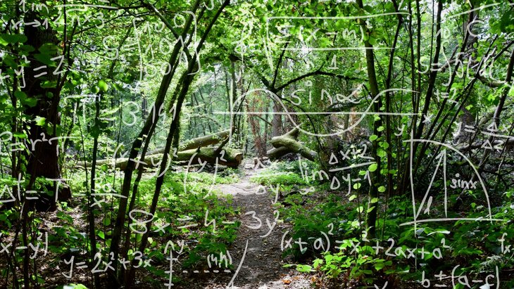 Loisirs Rdv nature - forêt matheuse