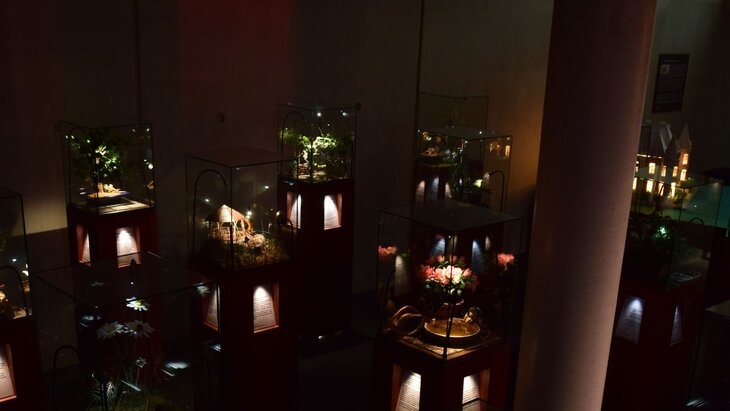 Loisirs A-Musées-Vous : nuit musée