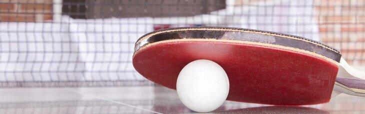 Stages,cours Stage tennis table pour adultes débutants confirmés