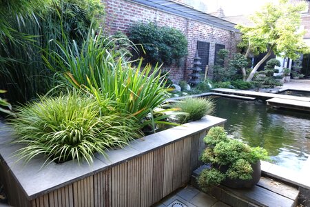 Loisirs Le Sentier Chimonobambusa