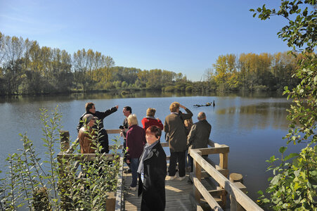 Loisirs Balade naturaliste : oiseaux