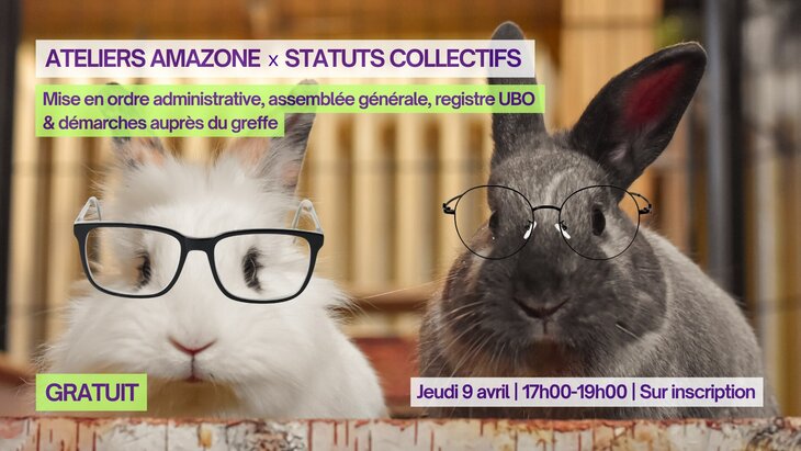 Stages,cours Atelier Asbl : mise ordre administrative (Statuts Collectifs & Amazone)