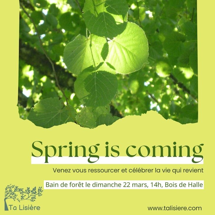 Stages,cours Bain forêt : accueillir renouveau printemps