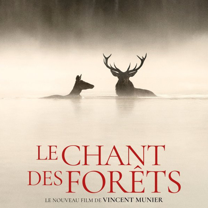 Spectacles Le chant forêts