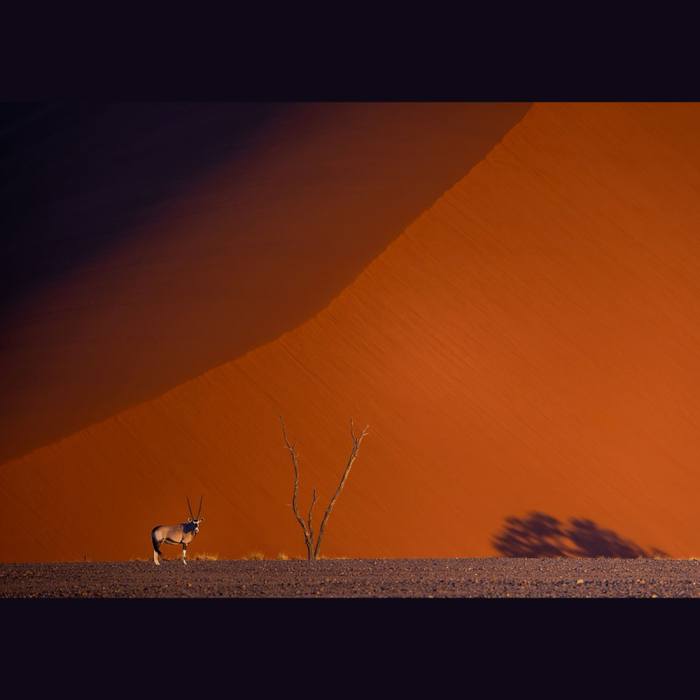 Conférences Explo - Namibie, exceptionnelle nature