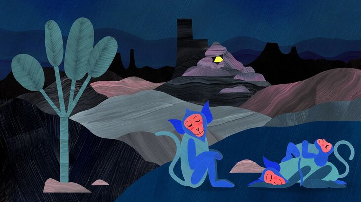 Spectacles Dimanche tout-petits - naissance oasis