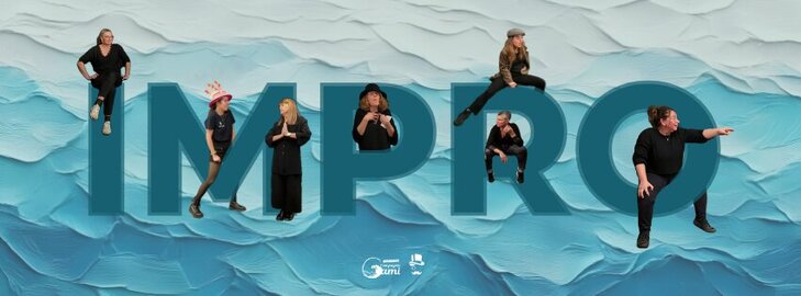 Spectacles Vous reprendrez bien peu d impro