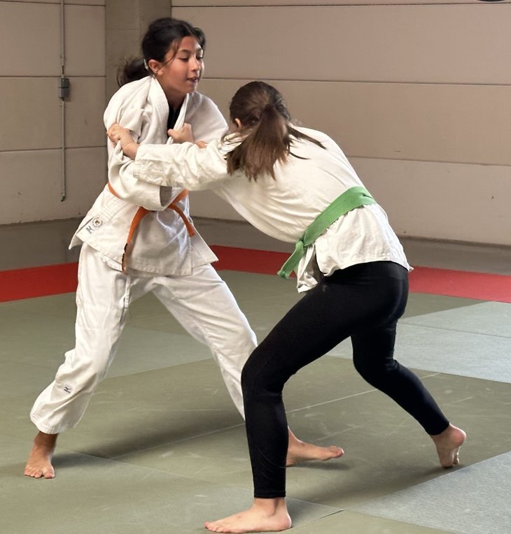 Stages,cours Stage Judo débutants confirmés