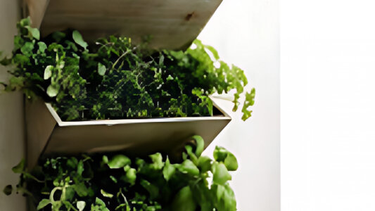 Stages,cours Jardinière murale