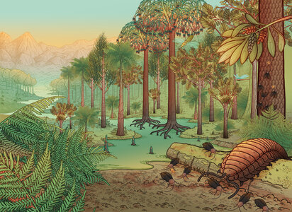 Conférences Les mondes oubliés Hauts-de-France