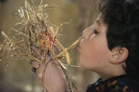 Stages,cours Les mercredis participatifs