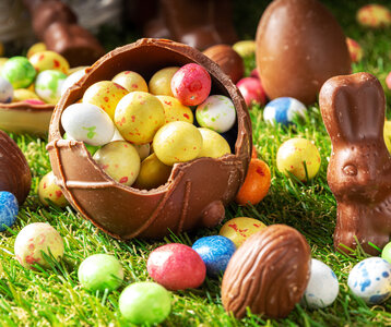 Loisirs Chasse œufs - Haute-Borne