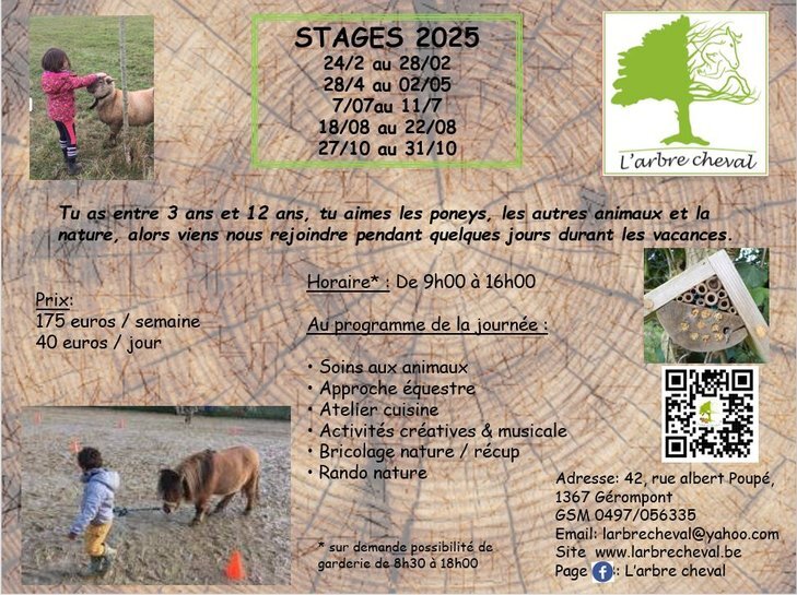 Stages,cours Stage enfants été insertion microferme activités équestres