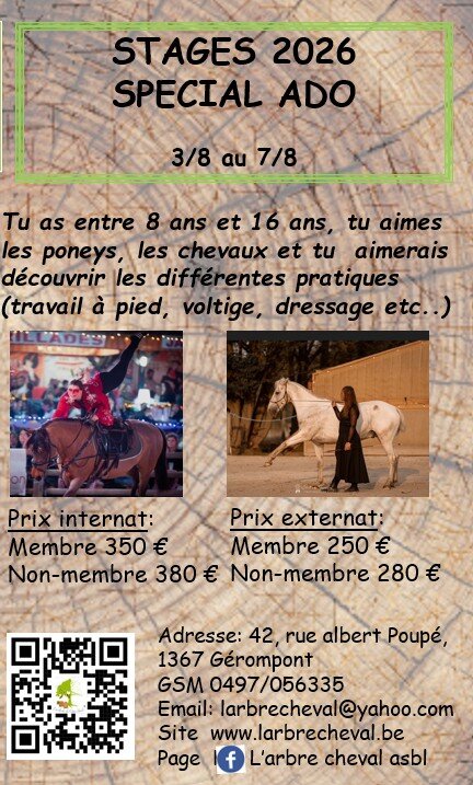 Stages,cours Stage Spécial (8-16) la découverte disciplines équestres