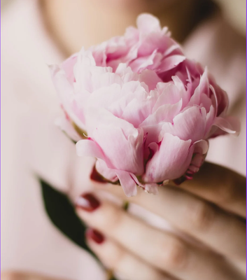 Conférences Conférence la préménopause