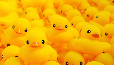 Loisirs Fête canard l école Biesme-sous-Thuin