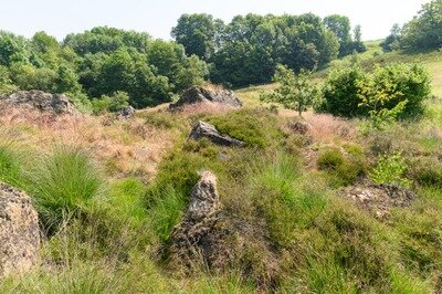 Loisirs Découvrez réserve naturelle Rocheux