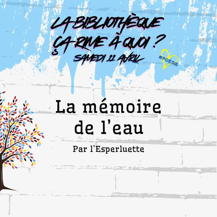 Spectacles Spectacle familial La mémoire l’eau »