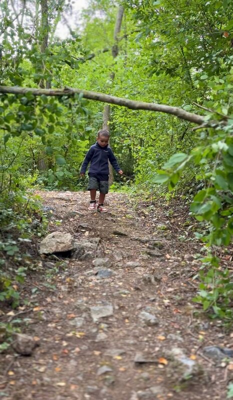 Loisirs Parcours ludique dans bois