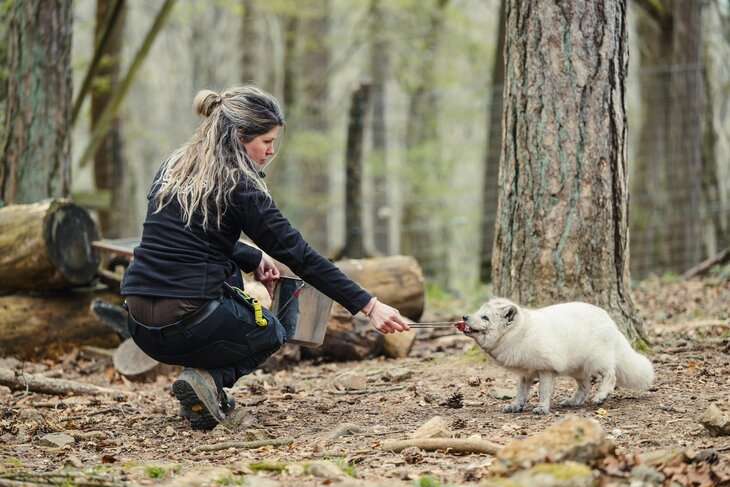 Loisirs Soigneur d’un jour Vallée Géants