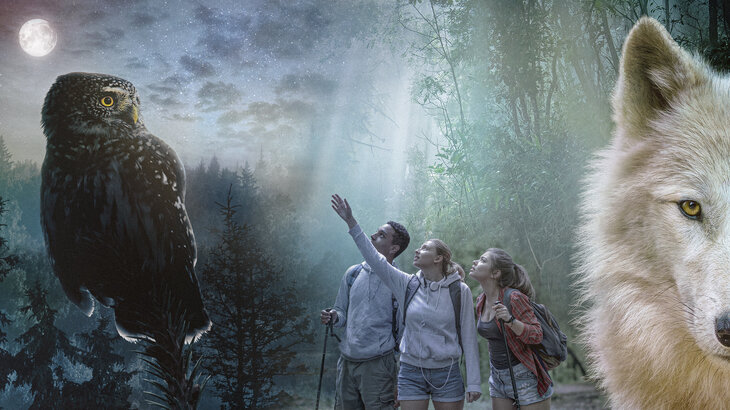 Loisirs Au clair lune