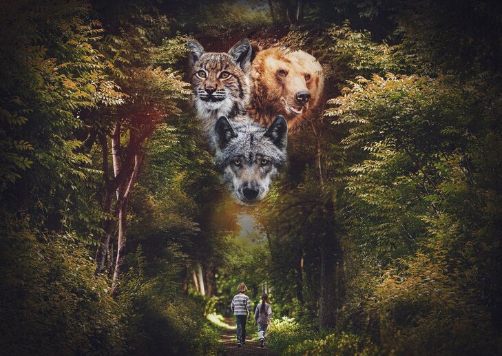 Loisirs Sur piste Grands Prédateurs