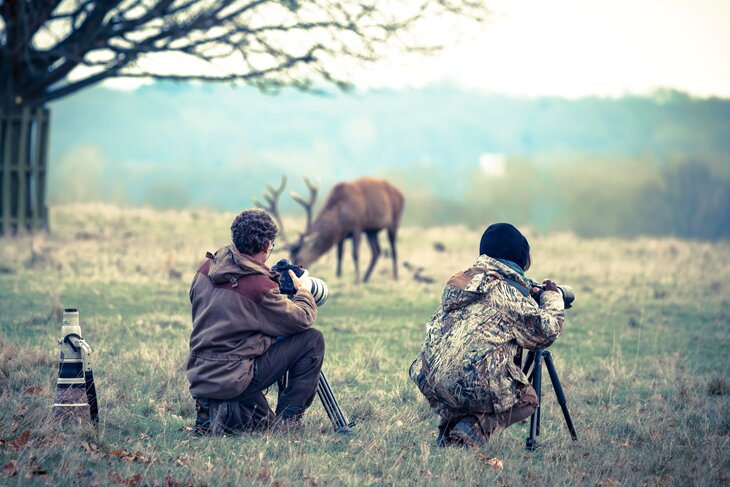 Loisirs Safari photo dans parc animalier