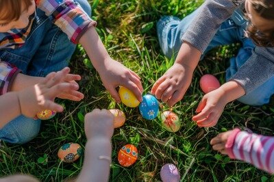 Spectacles Chasse oeufs Lombise