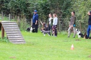 Loisirs Concours canin | Nassogne