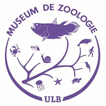 Expositions Atelier Tandem - Insectes printemps, papillons bourdons