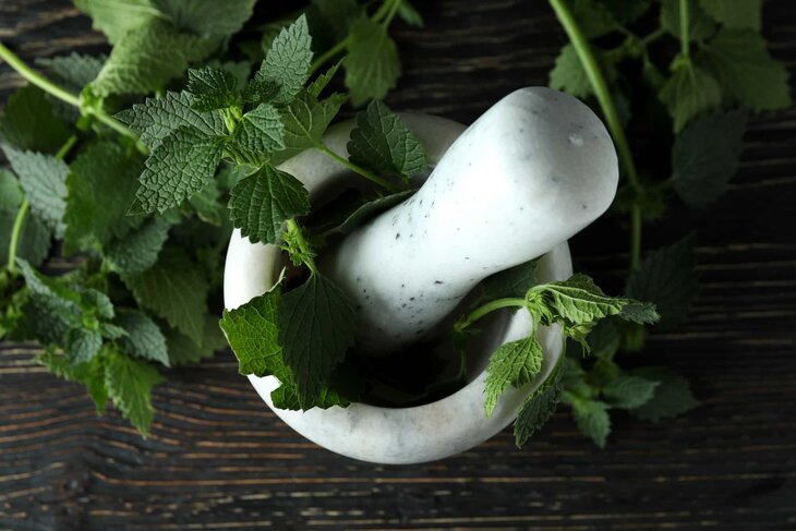 Stages,cours La découverte potions jardin