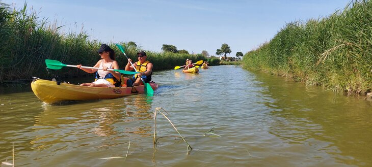 Stages,cours Location canoës, kayaks Sup