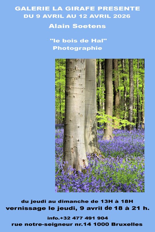 Expositions Expo photo   bois hal  