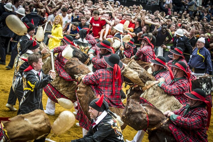 Loisirs Visite guidée: les traces Doudou un acteur
