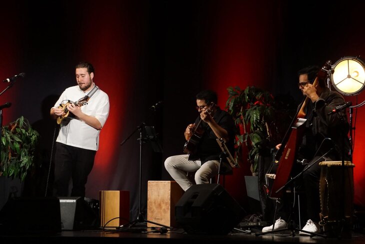 Stages,cours Masterclass Brésil-Venezuela