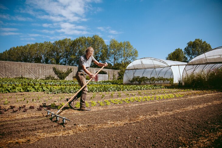 Loisirs Séance d’information : auto-cueillette grand potager