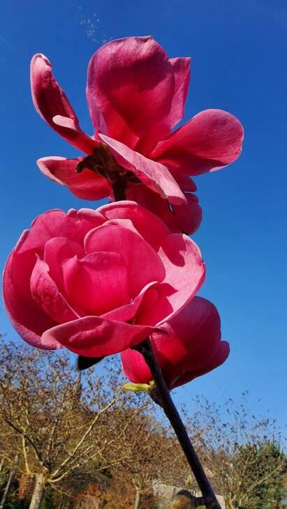 Loisirs Ouverture la saison Jardin clé temps