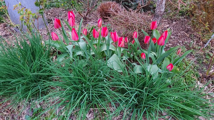 Loisirs En route pour printemps Jardin