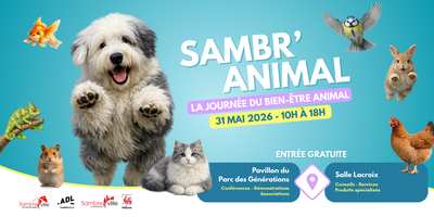 Loisirs Sambr Animal