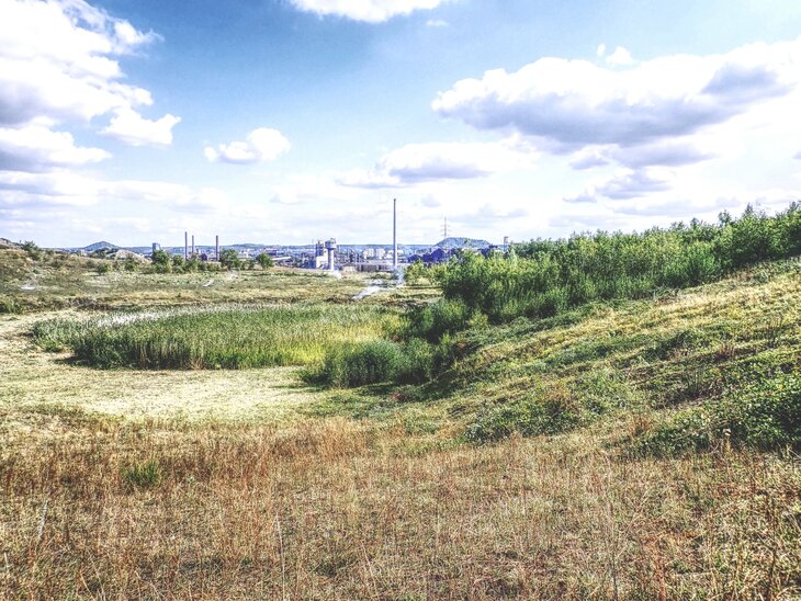 Loisirs Comment pourquoi certains animaux migrent-ils, particulier oiseaux ?