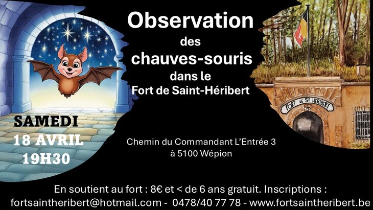 Loisirs Nuit la Chauve-Souris