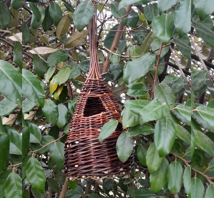 Stages,cours Atelier d initiation vannerie : nichoir osier