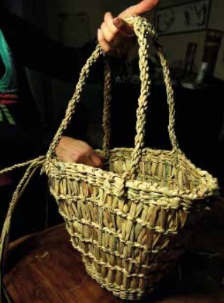 Stages,cours Feuilles massettes expérience